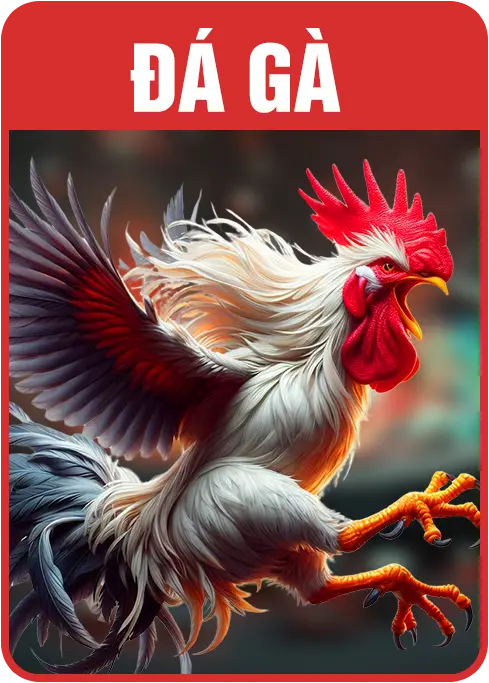 đá gà