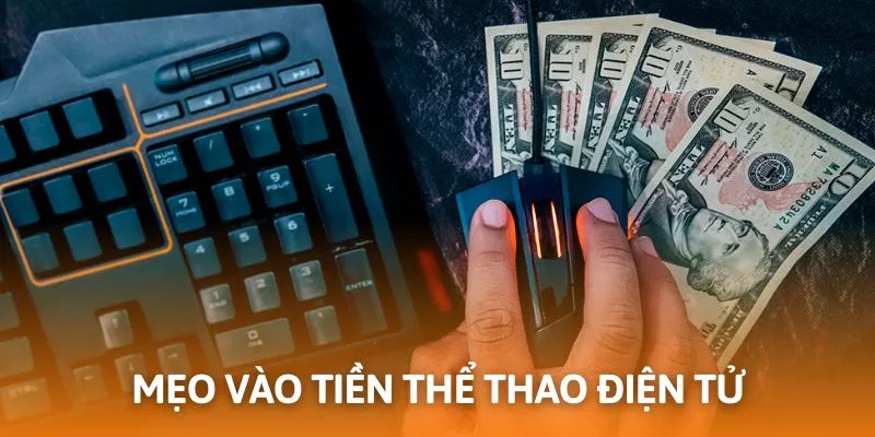 Cẩm nang trải nghiệm cá cược thể thao điện tử cho hội viên tham gia