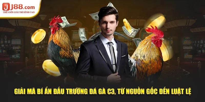 Giải mã bí ẩn đấu trường đá gà C3, từ nguồn gốc đến luật lệ