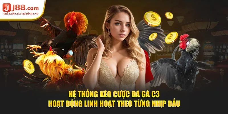Hệ thống kèo cược đá gà C3 hoạt động linh hoạt theo từng nhịp đấu