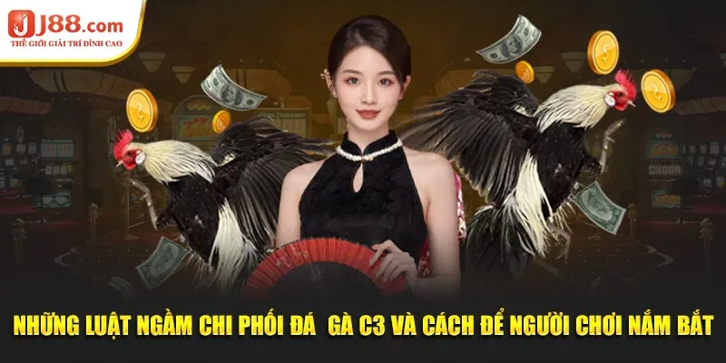 Những luật ngầm chi phối đá  gà C3 và cách để người chơi nắm bắt
