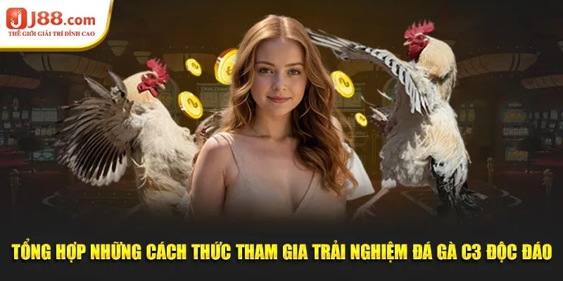 Tổng hợp những cách thức tham gia trải nghiệm đá gà C3 độc đáo