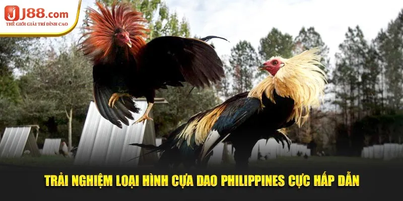 Trải nghiệm cơ hội thắng lớn với các giải thưởng hấp dẫn
